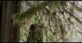 Naomi Watts se fait prendre contre un tronc d arbre 